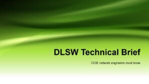 CCIE must know:DLSW Technical Brief