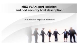 CCIE must know MUX VLAN, port isolation, port security brief description