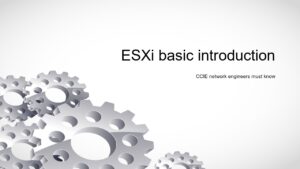 CCIE Network Engineers must know:ESXi basic introduction