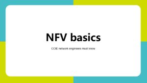 CCIE  network engineers must know: NFV basics